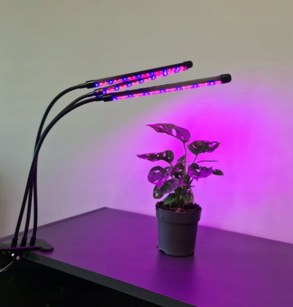 3x svetilka za sajenje in rast rastlin 60 LED + daljinski upravljalnik in časovnik