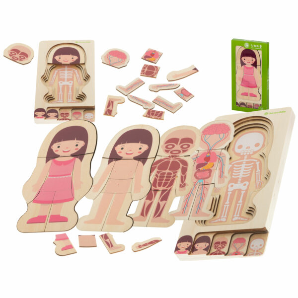 Lesena sestavljanka - človeško telo | deklica