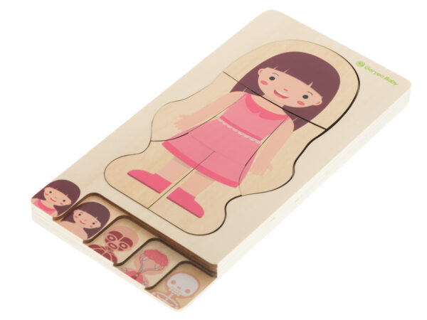 Lesena sestavljanka - človeško telo | deklica