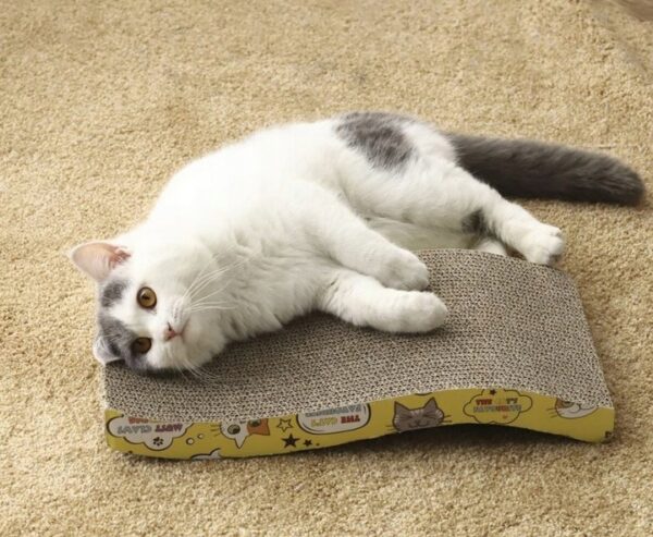 Kartonska praskalnica za mačke | 43x23,5x7 cm