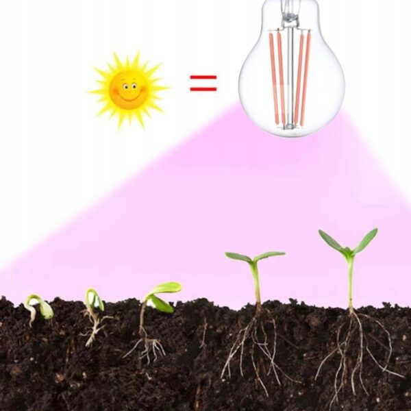 Žarnica LED za gojenje in pridelavo rastlin | 8W E27 A60