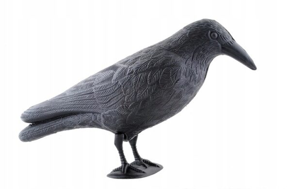 Odganjalec ptic - strašilo za ptice | Raven