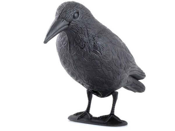Odganjalec ptic - strašilo za ptice | Raven
