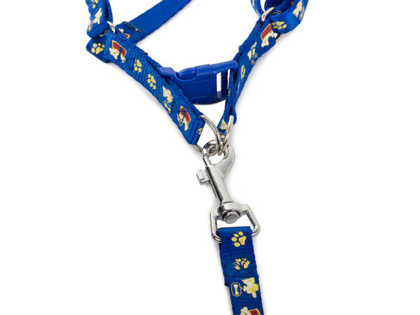 Pasji pasji pas s povodcem 125 cm | modra