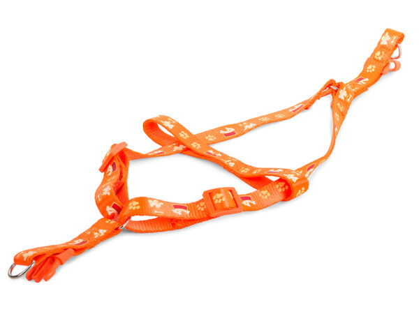 Pasji pasji pas s povodcem 125 cm | oranžna