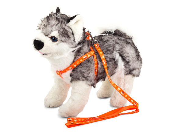 Pasji pasji pas s povodcem 125 cm | oranžna