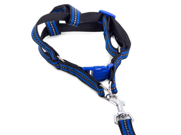 Pasji pasji pas s povodcem 125 cm - odsevni | modra