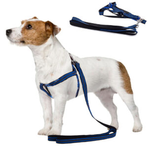 Pasji pasji pas s povodcem 125 cm - odsevni | modra