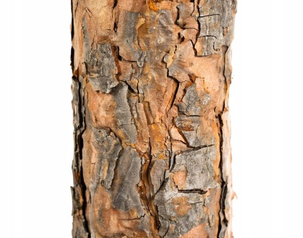 Umetno božično drevo - diamantni bor | 180 cm