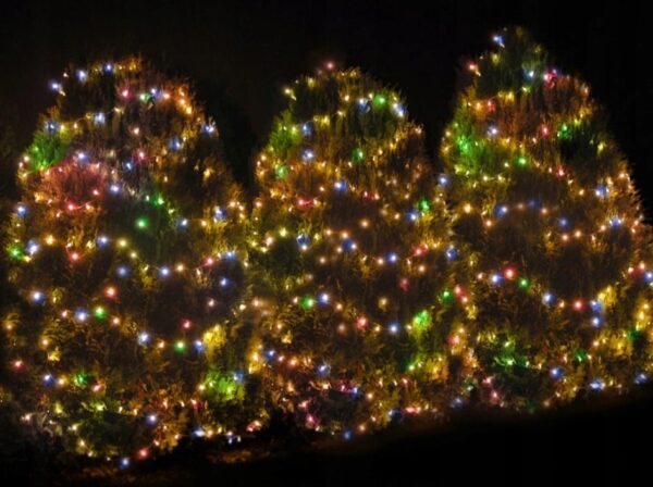 Božične lučke 500 LED 51,6 m | barvne