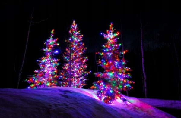 Božične lučke 500 LED 51,6 m | barvne