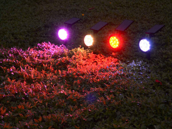Vrtna barvna sončna svetilka LED | 7 barv
