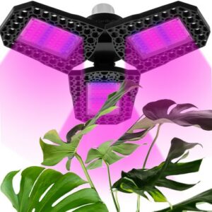 LED luči za rastline