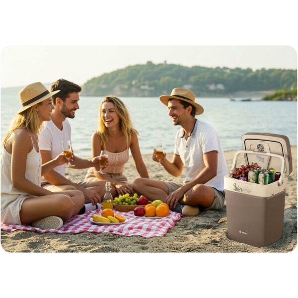 Prenosni hladilnik Icemax, ECO, 29 L, siv | Berdsen
