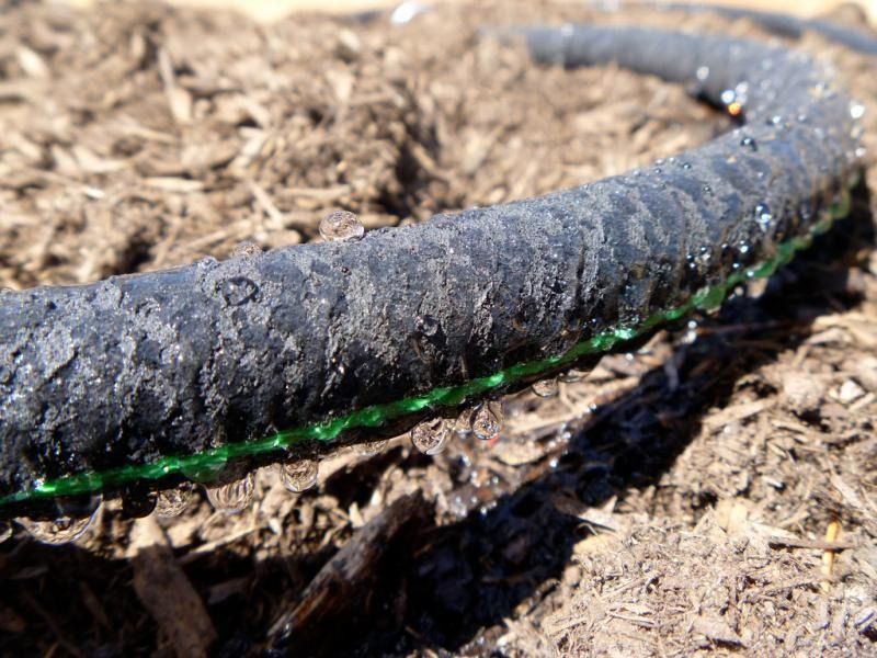 Vrtna cev za odvodnjavanje, 30 m, 12,5 mm | Garden Line