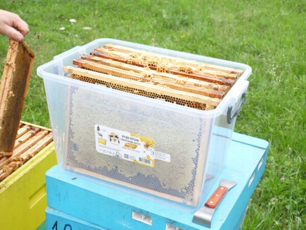 Plastična škatla za shranjevanje, 30 l | HobbyLife