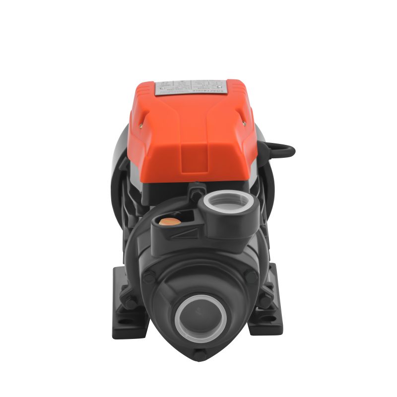 Vodna črpalka, 650 W, 60 l/min | KD808