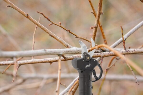 Akumulatorske vrtne škarje, 30 mm, 21 V | Gardenline