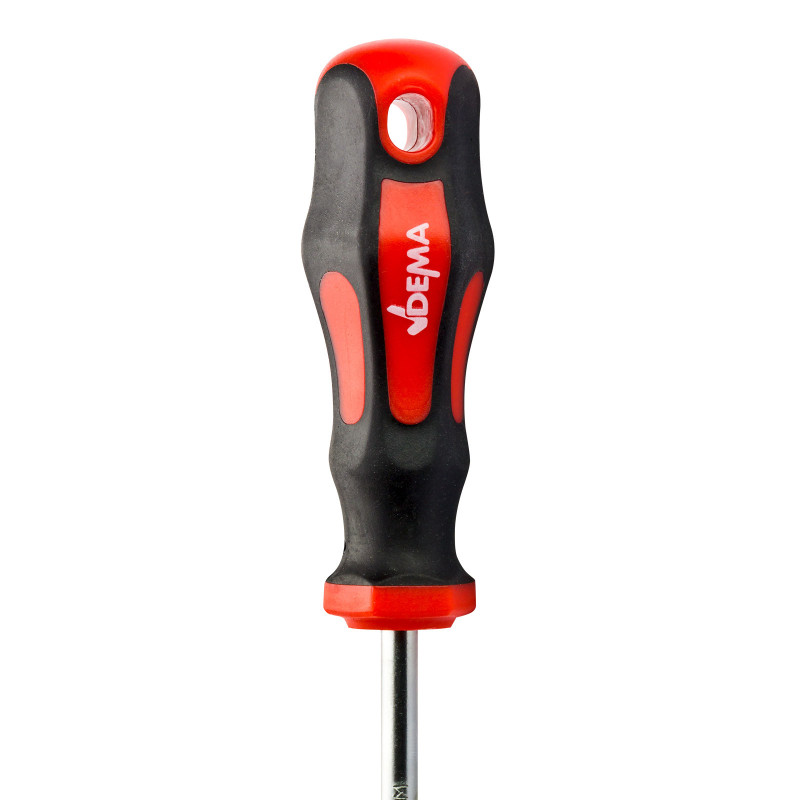 Komplet izvijačev Torx T10-T40, 7-delni | DEMA